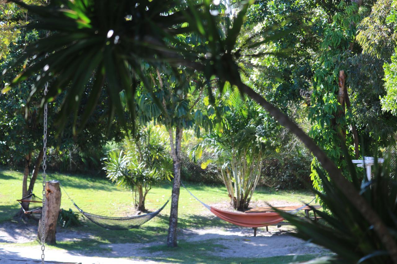 Backpackers Inn On The Beach Byron Bay Extérieur photo