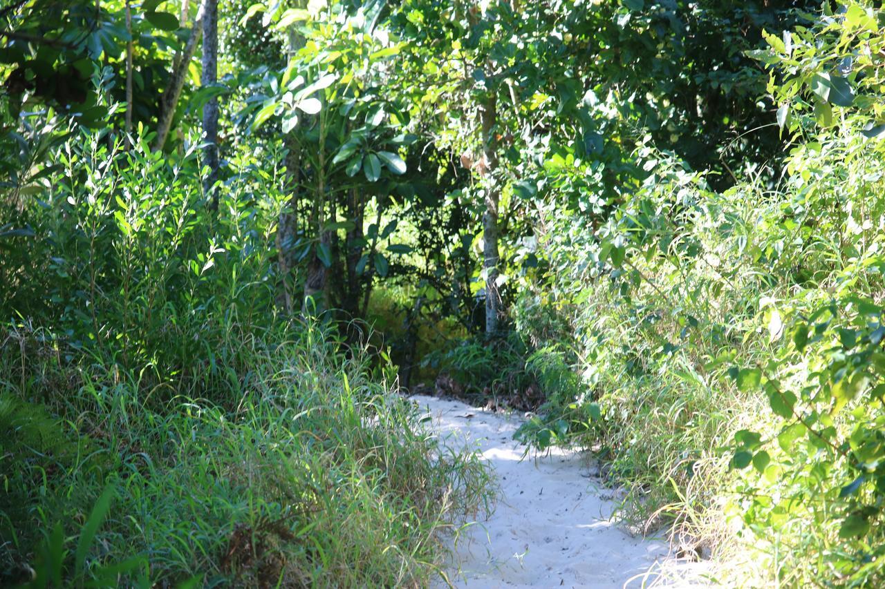 Backpackers Inn On The Beach Byron Bay Extérieur photo